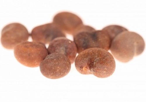 BAO-MED® 10 ΣΠΟΡΟΙ BAOBAB