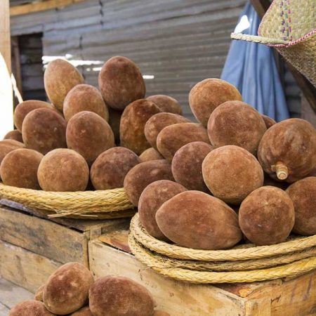 BAO-MED® 14 baobabfruit